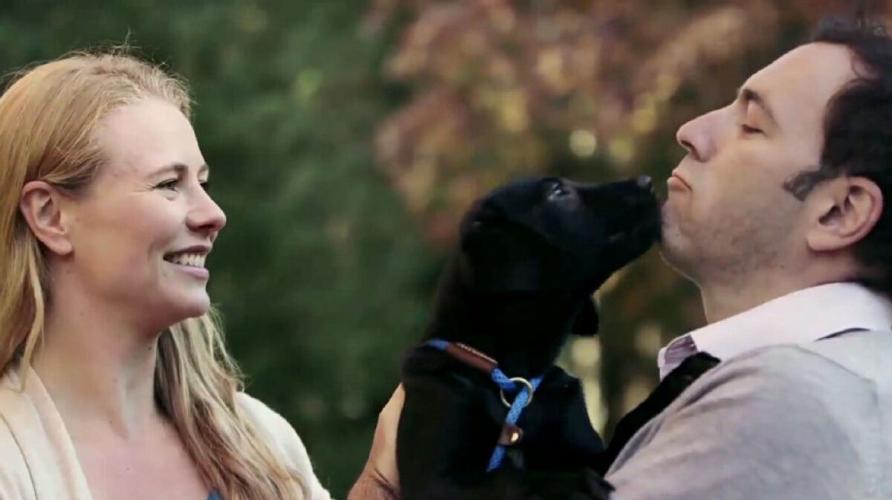 Prank Toronto Humane Society PuppySwap ad goes viral
