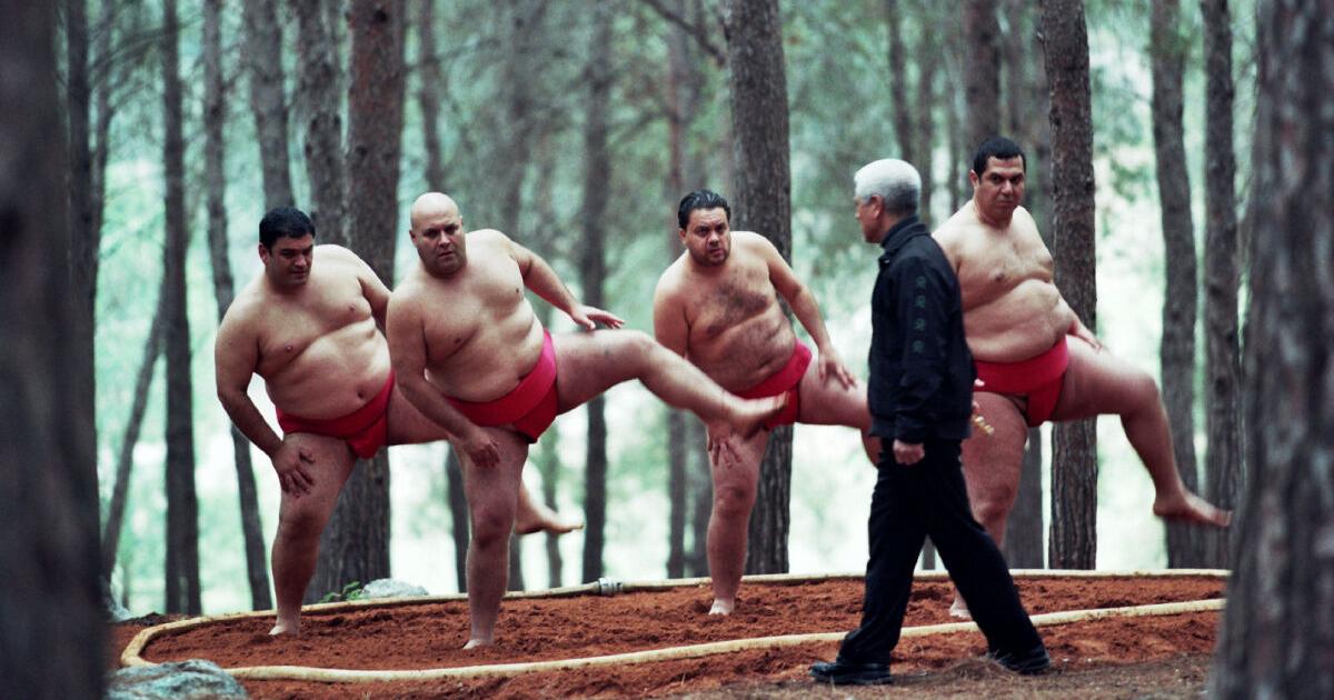 A Matter of Size: Big fat sumo comedy feels thin