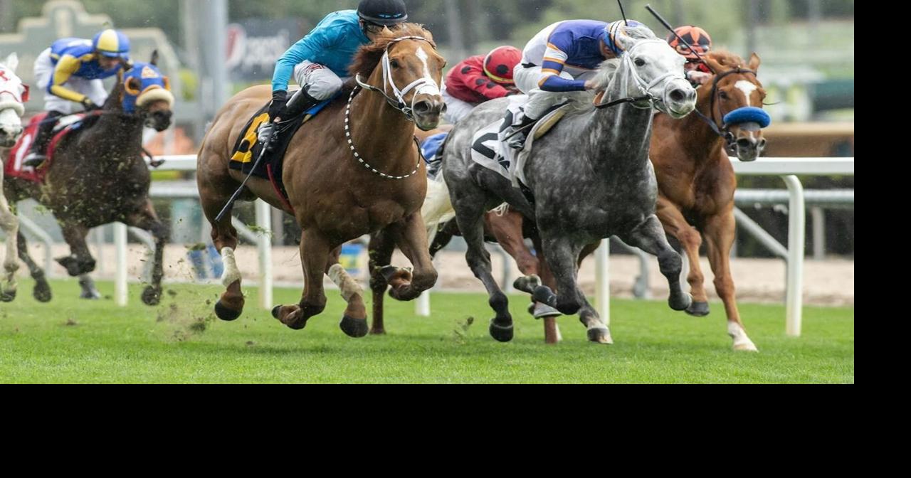 New racing series aims to increase number of horses competing in US and ...