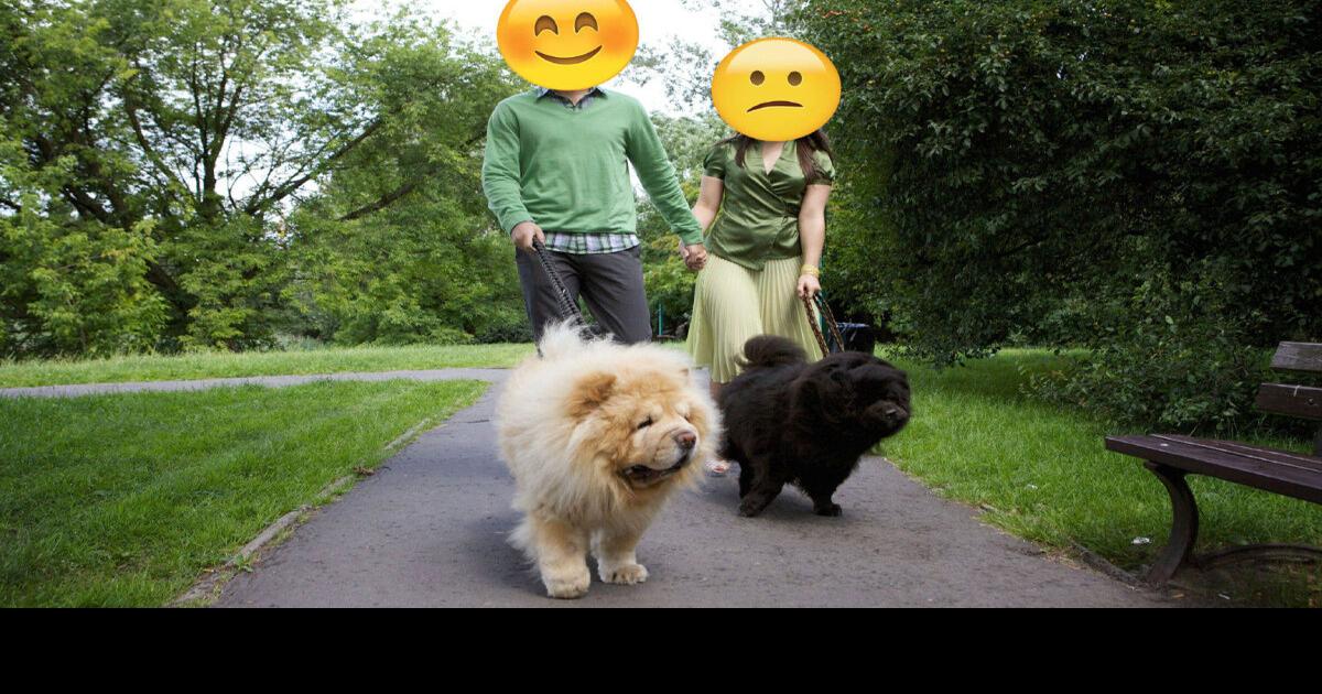 Dating Diaries I went on a dogwalking date and he looked nothing like