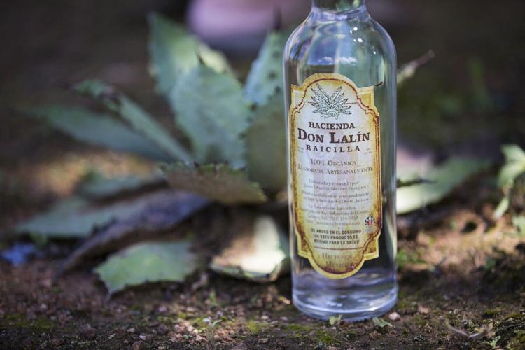 Mexican trip unwraps the spirit of raicilla