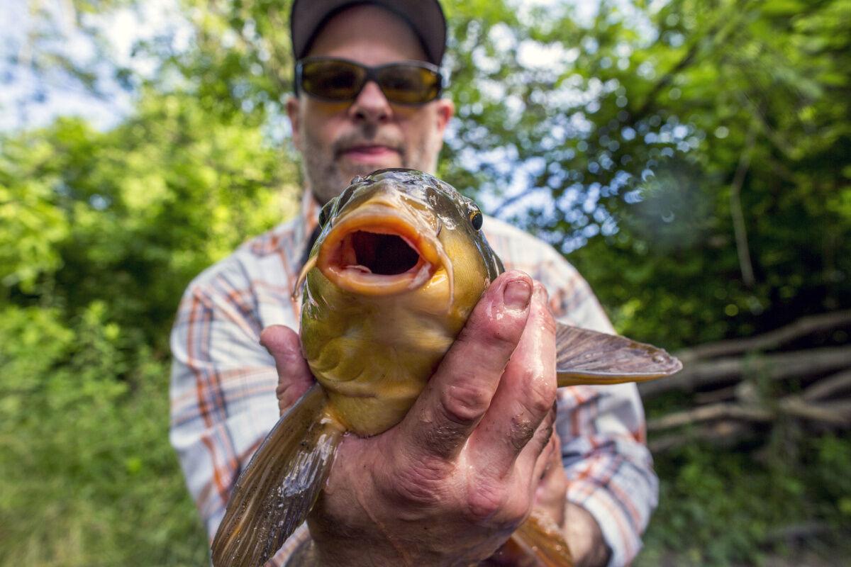 Urban fishing enthusiasts feel the lure of the Don River