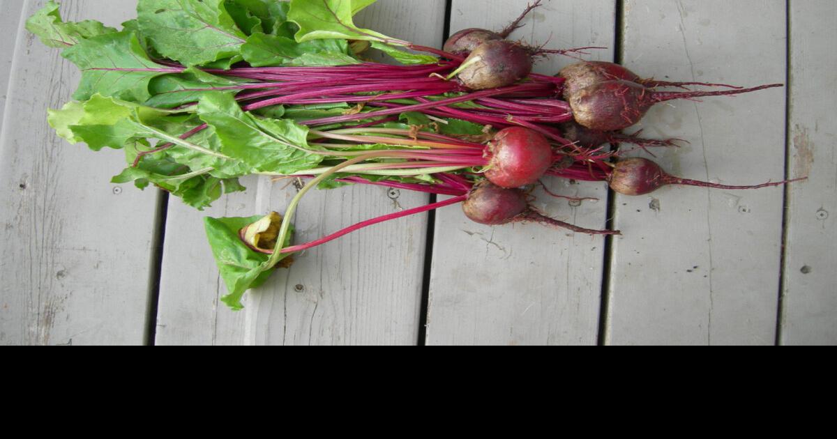If you’re not sold on beets, you may want to give these ones a bite ...