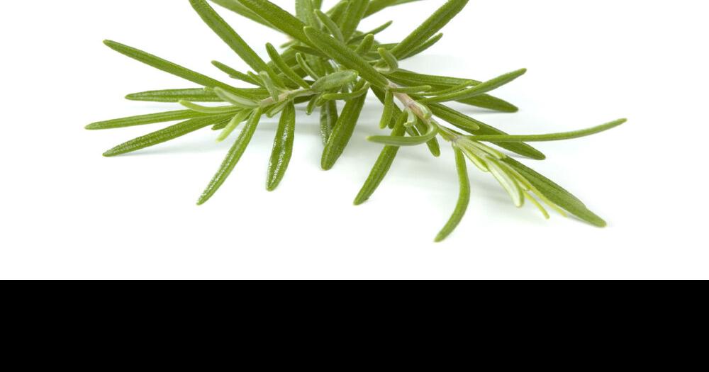 Jamie Oliver’s slowroasted lamb shoulder