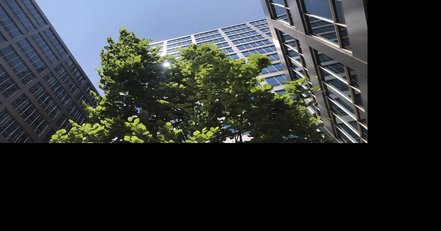 https://bloximages.chicago2.vip.townnews.com/thestar.com/content/tncms/assets/v3/editorial/7/89/789e1bce-4993-544a-86c7-974f16072886/682e0ff2dfc24.image.jpg?crop=1440,756,0,162&resize=1200,630&order=crop,resize