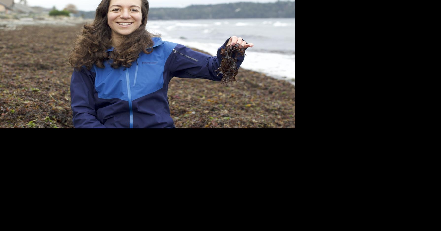 How this Canadian entrepreneur is using invasive seaweed to create peace and quiet