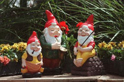 Garden gnomes.JPG