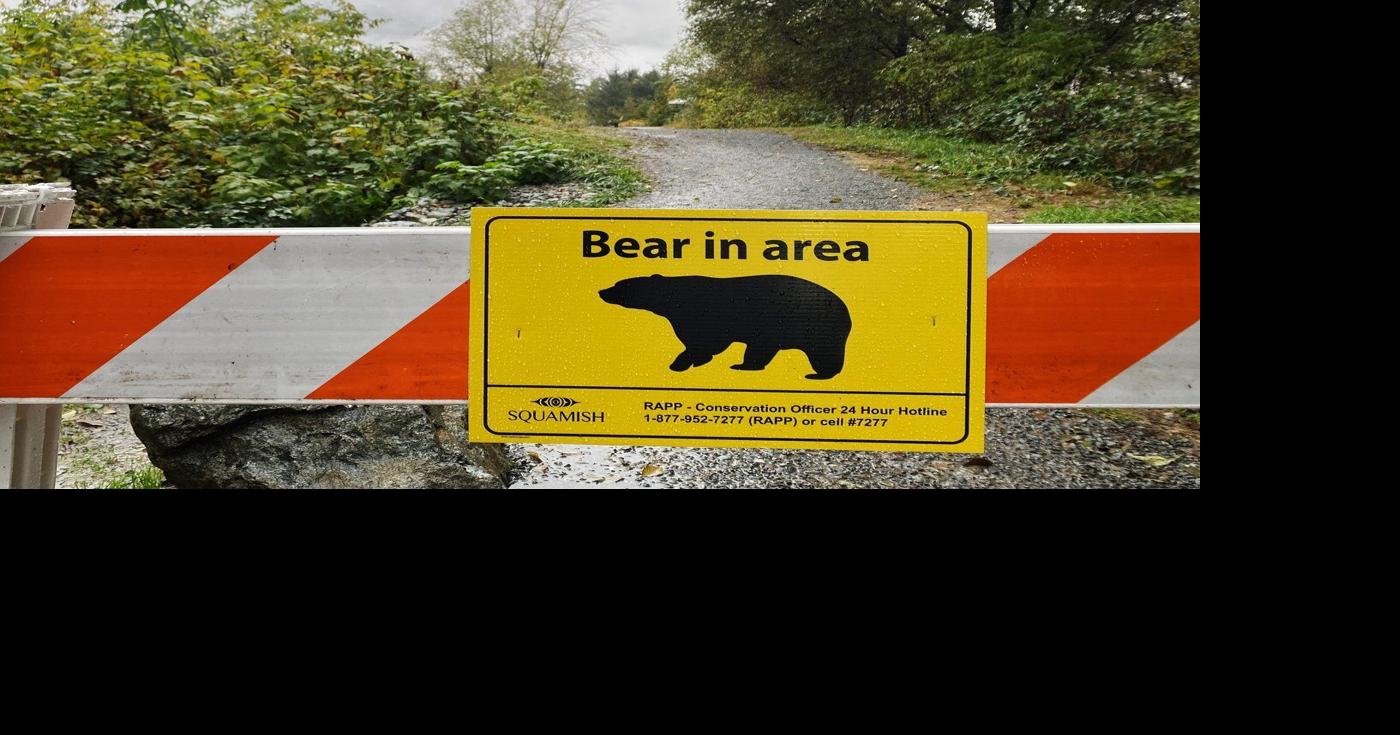 Two grizzlies caught in Bella Coola, B.C.; DNA tests may confirm any link to attack