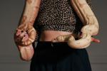 Photos show snakes auditioning for a role at New York’s Metropolitan Opera