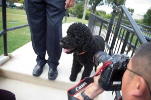The Obamas' family dog Sunny dies, the former president says