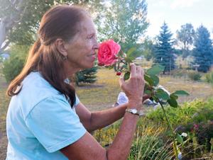 Pick a free bouquet, stay for the community at a flower garden on Butterfly Lane