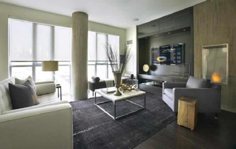 Tridel penthouse condo showcases latest in green tech