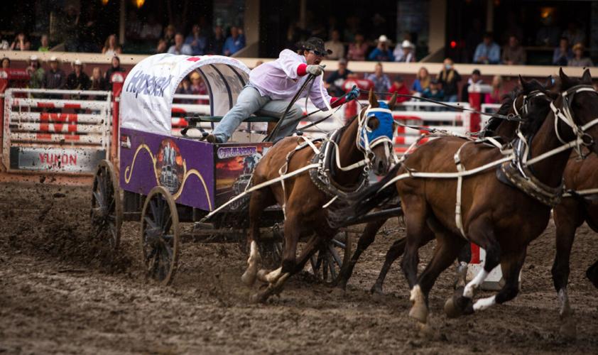 A guide to the ‘chucks’ at the Calgary Stampede