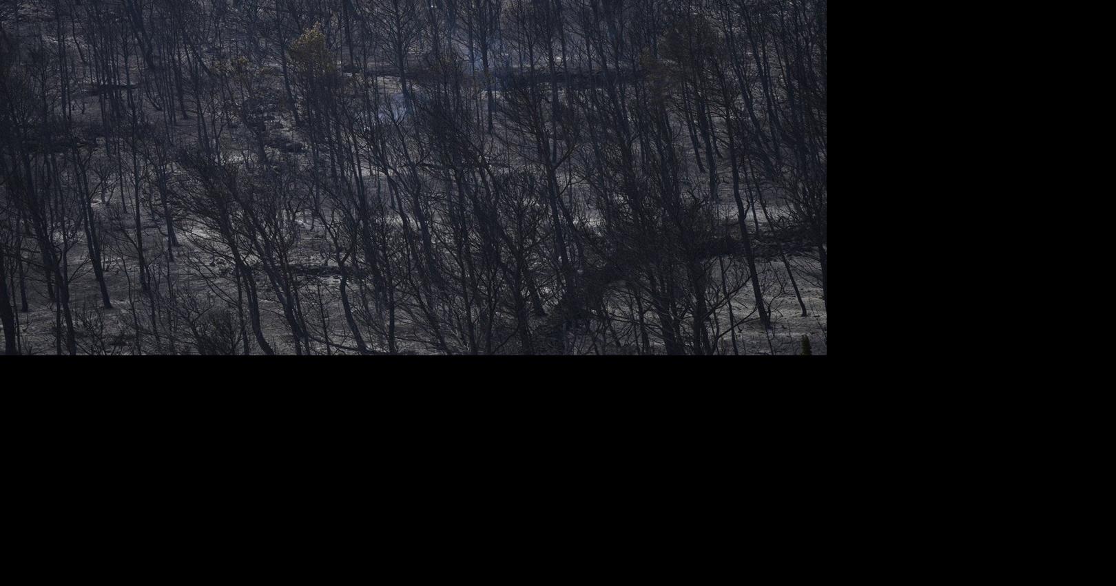 https://bloximages.chicago2.vip.townnews.com/thestar.com/content/tncms/assets/v3/editorial/7/d7/7d7c0d5b-66ad-5b92-8d18-b562f017967f/689726aca5683.image.jpg?crop=1620,851,0,114&resize=1200,630&order=crop,resize