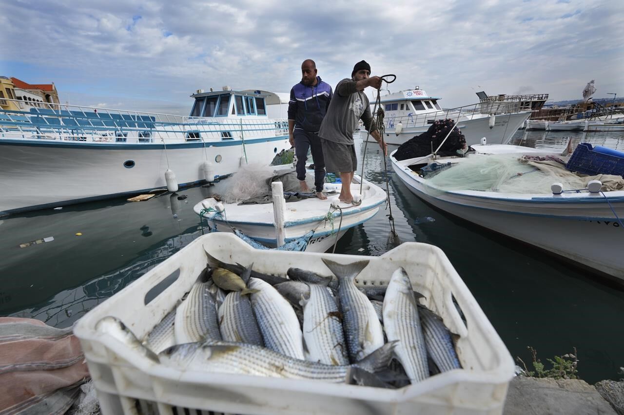 Lebanese Fishermen Hope Cease-fire With Israel Means Normal Life Returning