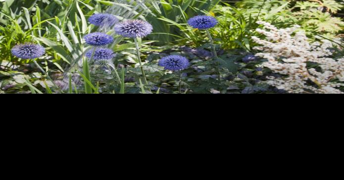 How to wet your plants: Using human urine as fertilizer