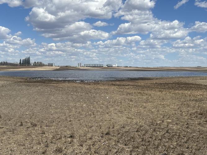 Saskatchewan farmers face seeding delays amid cold spring weather