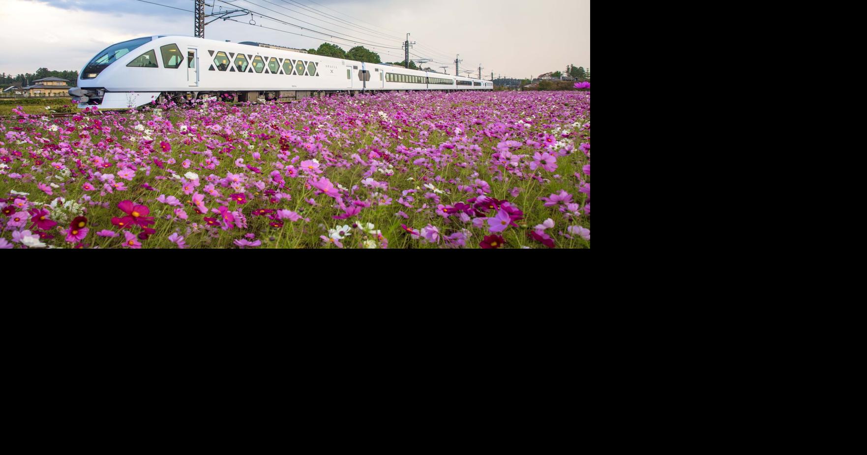 Why Japan is the best destination for train travel