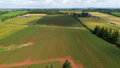 $12B in food and drink exports could be shifted away from U.S.: Farm Credit Canada