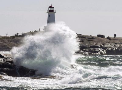 Fin spotted close to Nova Scotia beach forces swimmers out of water