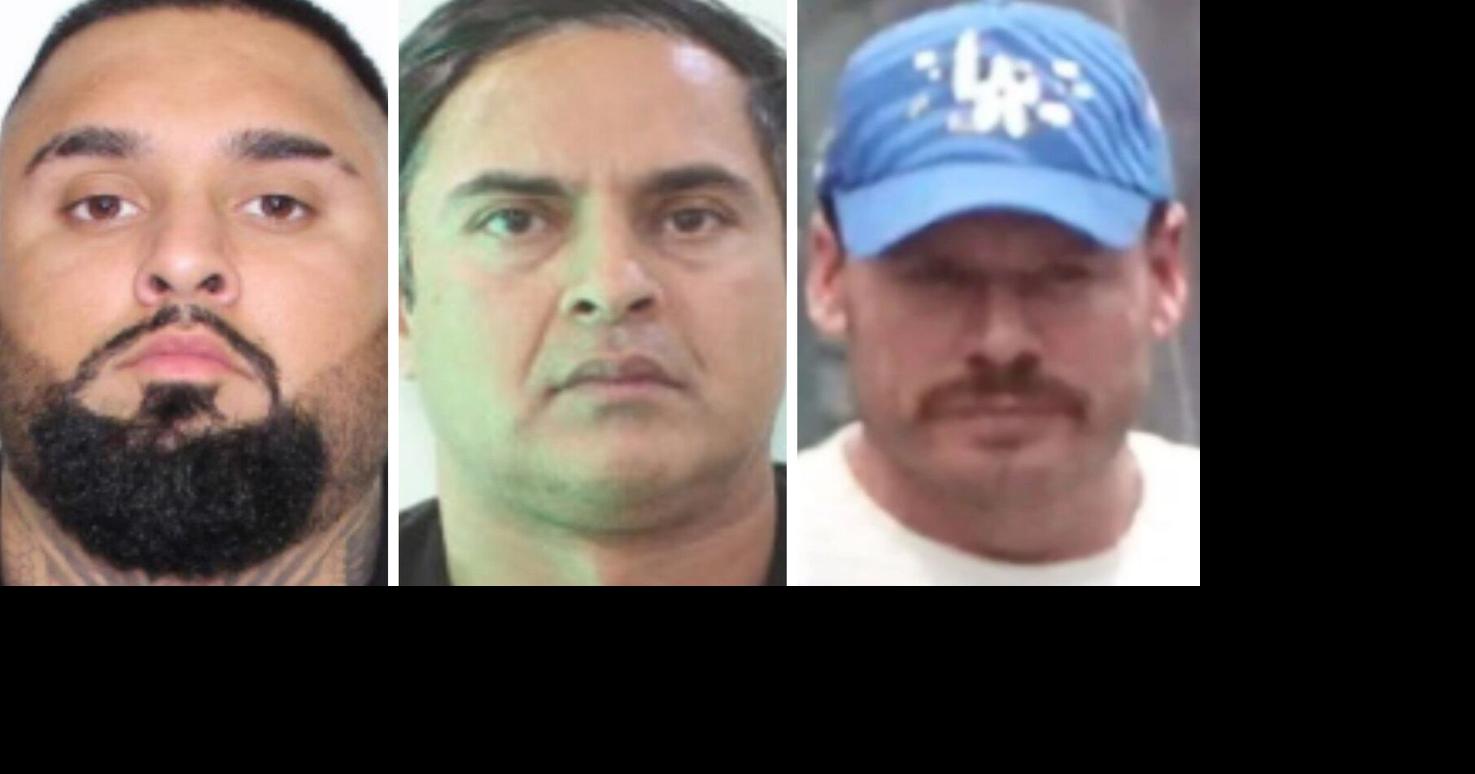 Two GTA men fighting extradition to the U.S. over their role in a drug trafficking syndicate allegedly led by Canadian ex-Olympian and fugitive drug lord Ryan Wedding are asking prosecutors