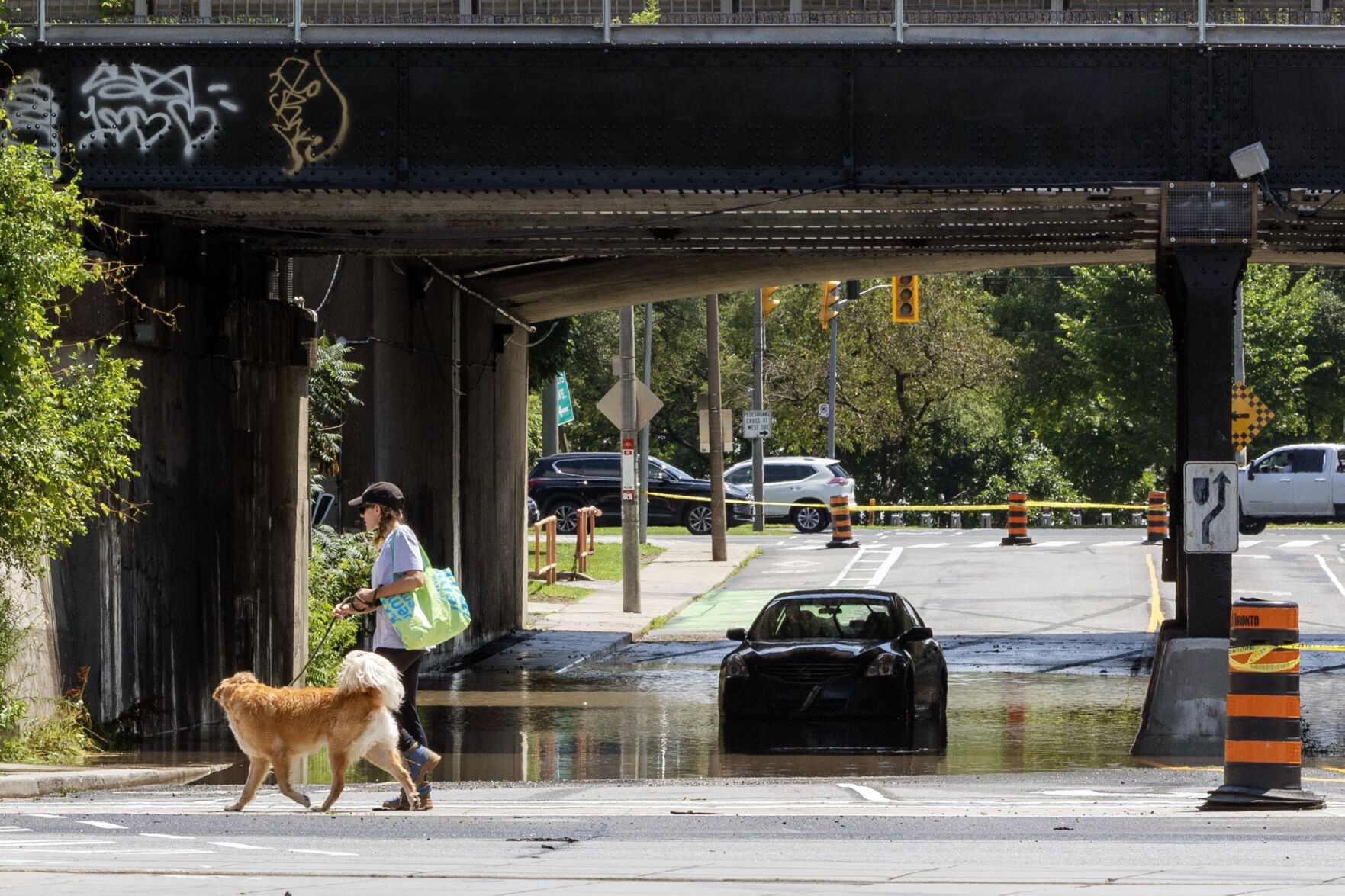 Toronto StarToronto Humane Society provides pet safety tips to avoid water-borne 
diseases following city’s floodThe animal shelter and rescue charity said the overflowing water could 
potentially pose health risks to pets..Jul 18, 2024