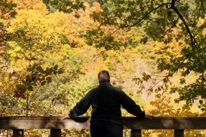 Inside the quest to predict Ontario’s brief fall colour show