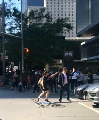 Toronto police investigating report after video shows driver assaulted ...