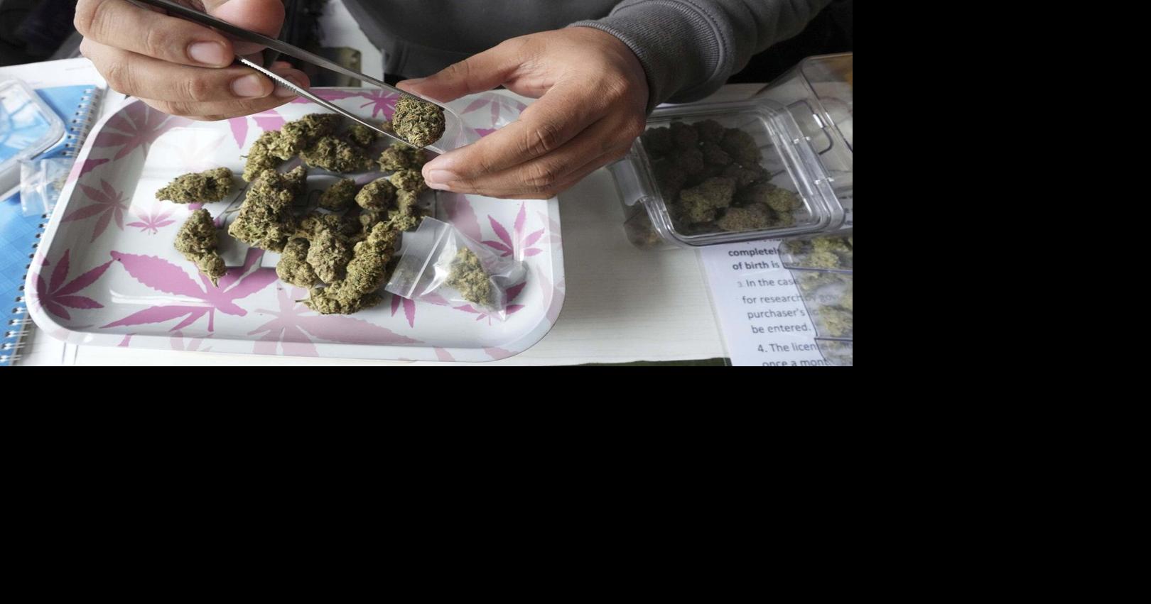 Case of Mi'kmaq man facing cannabis charges moves to constitutional challenge in N.S.