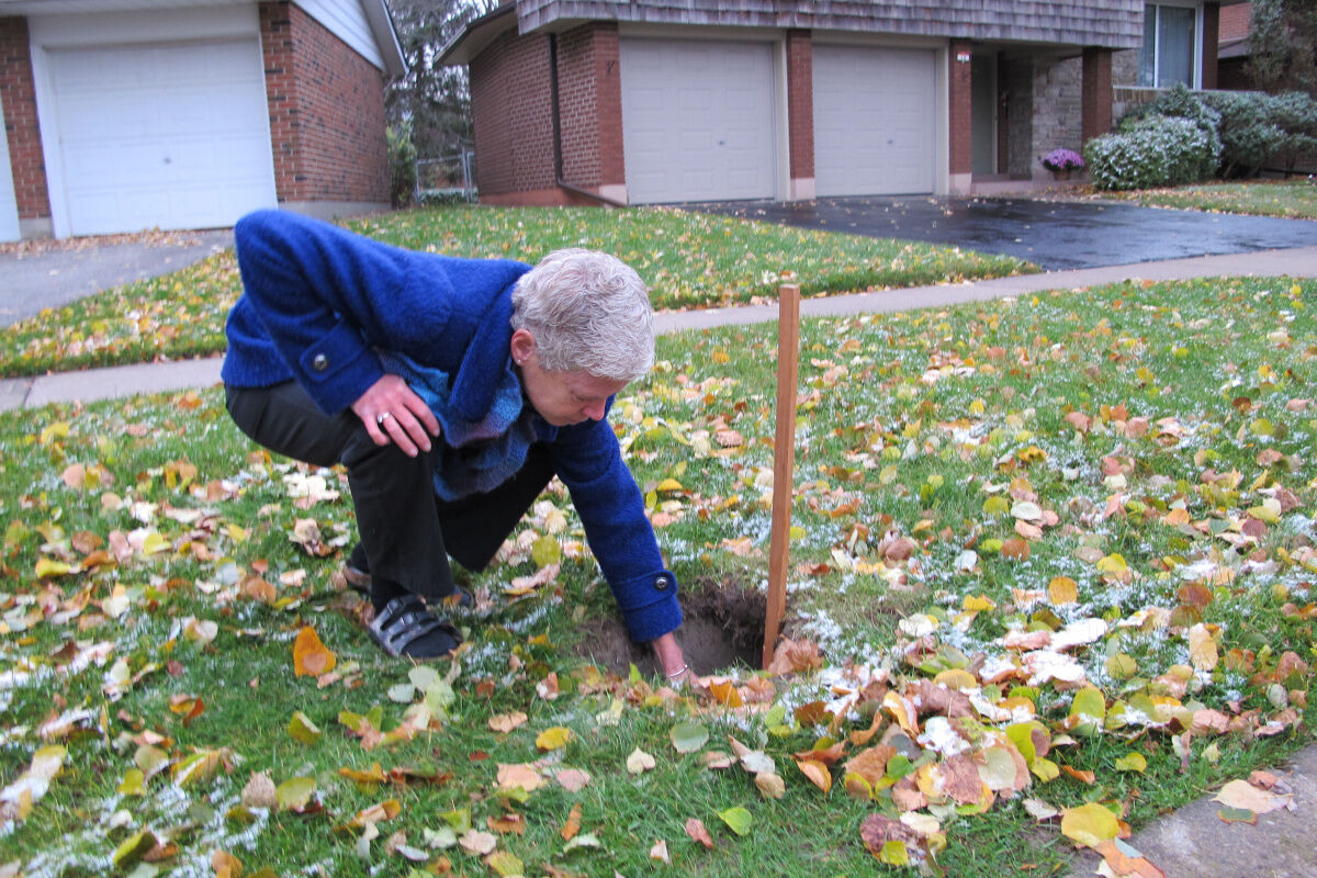 Holes In Boulevards Are Leaf-filled Traps For The Unwary: The Fixer