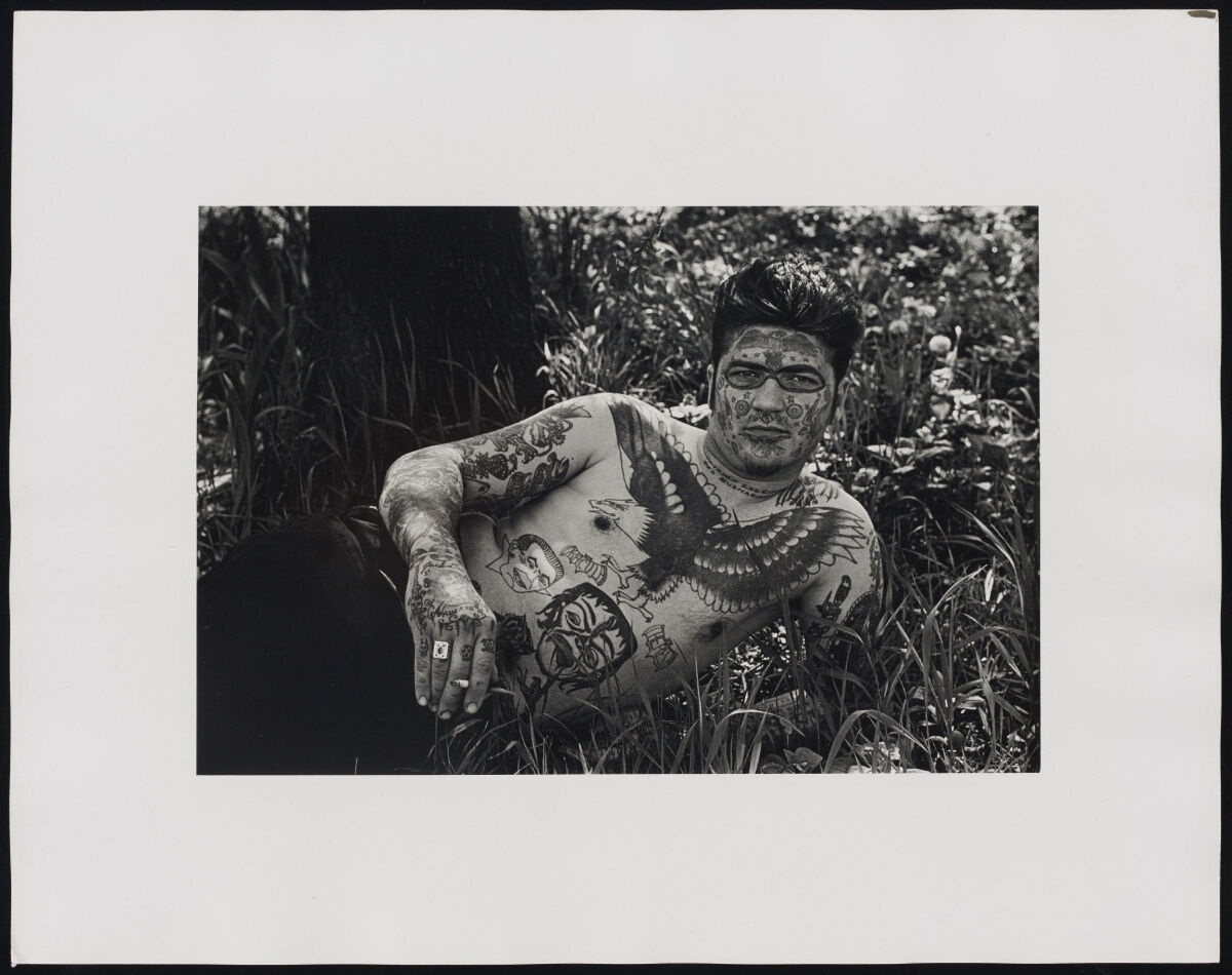 AGO acquires 522 photographs by Diane Arbus