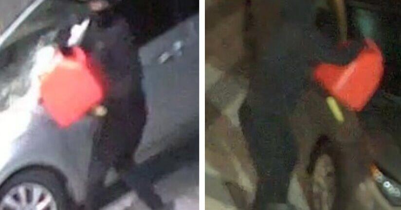 https://bloximages.chicago2.vip.townnews.com/thestar.com/content/tncms/assets/v3/editorial/8/67/867e41d8-9491-5bc1-ae76-4250aa0f7faa/6a91b261dbf10.image.jpg?crop=824%2C433%2C0%2C98
