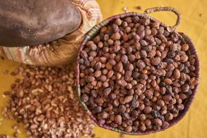 The beauty industry loves argan oil. But demand, and drought, are straining Morocco and its trees