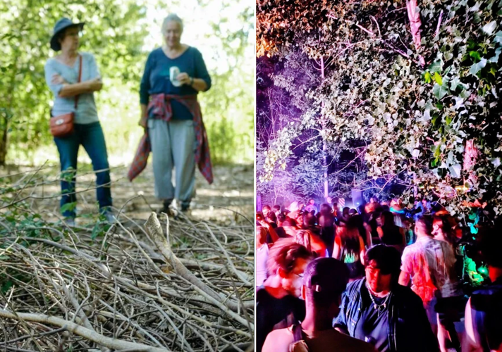 Naturalists vs Ravers