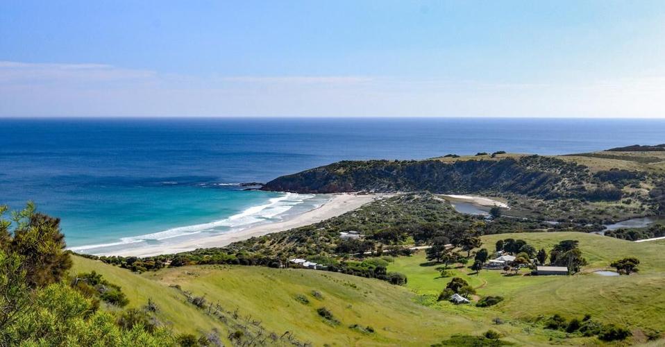 Snelling Beach I feared bushfires had destroyed the Kangaroo Island I loved — but ...