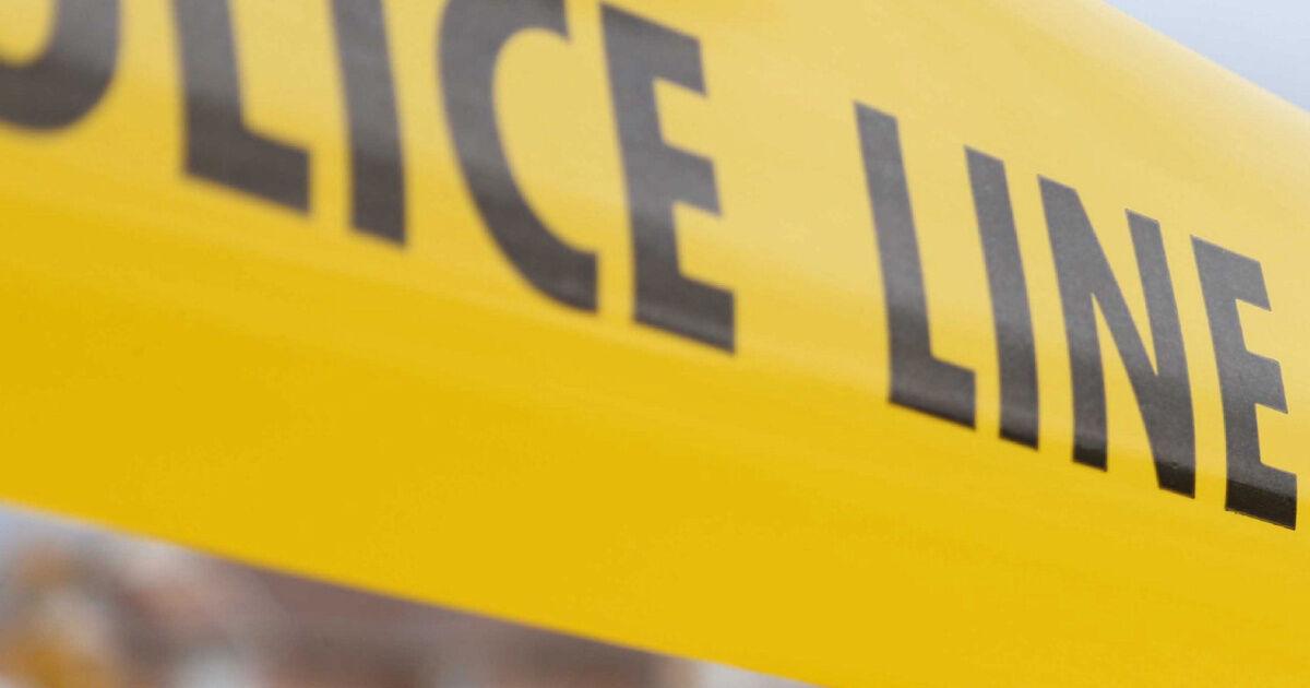 Pedestrian dies after being struck by transport truck in Brampton