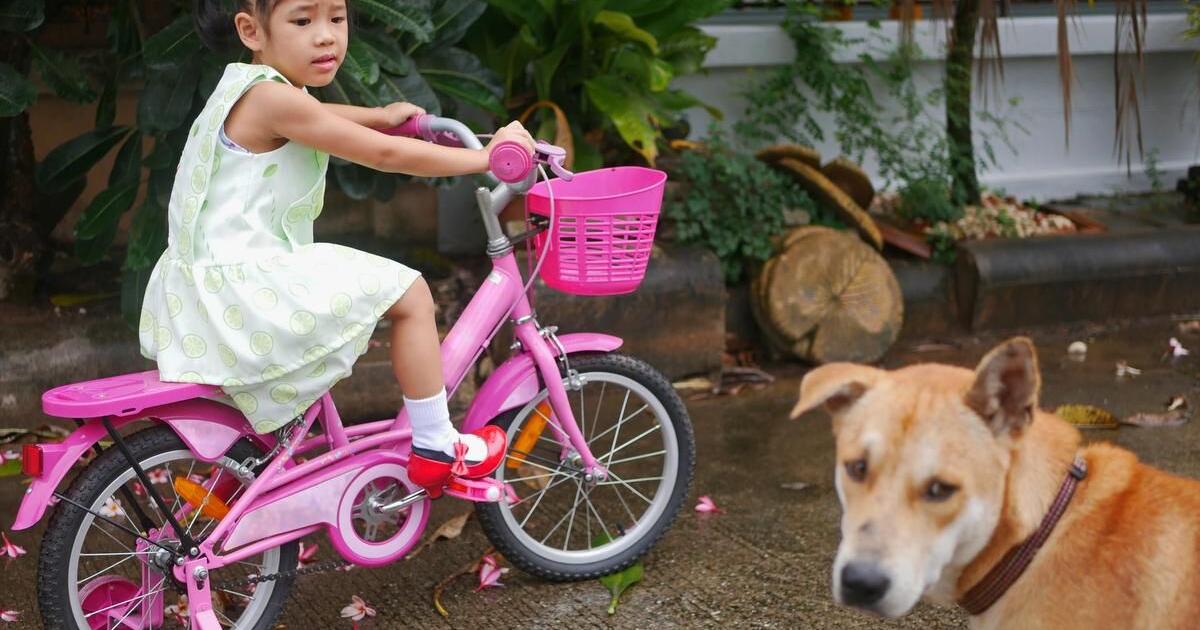 How creating a ‘bravery ladder’ helps kids a phobia