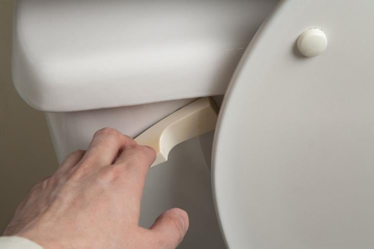Toilet Flush May 9.jpg