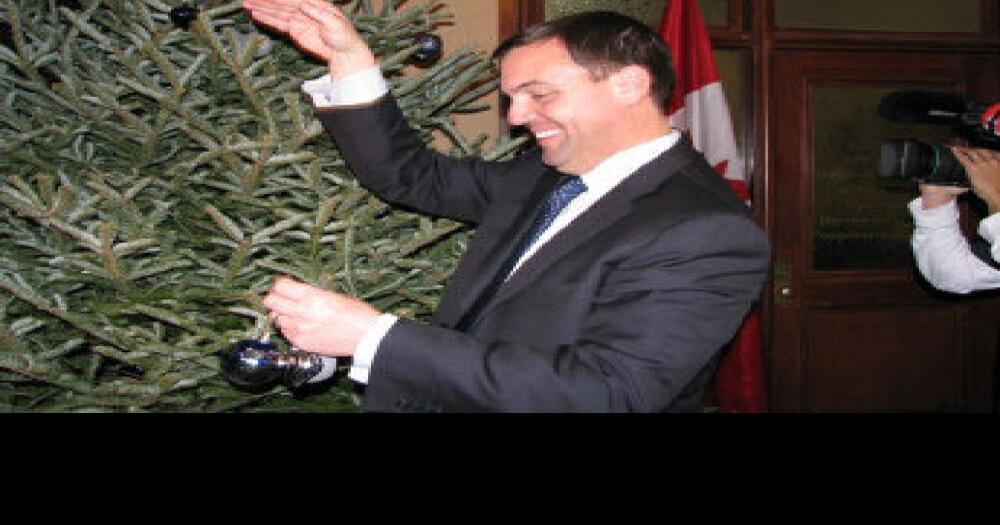 Fir flap over Queen’s Park Christmas tree