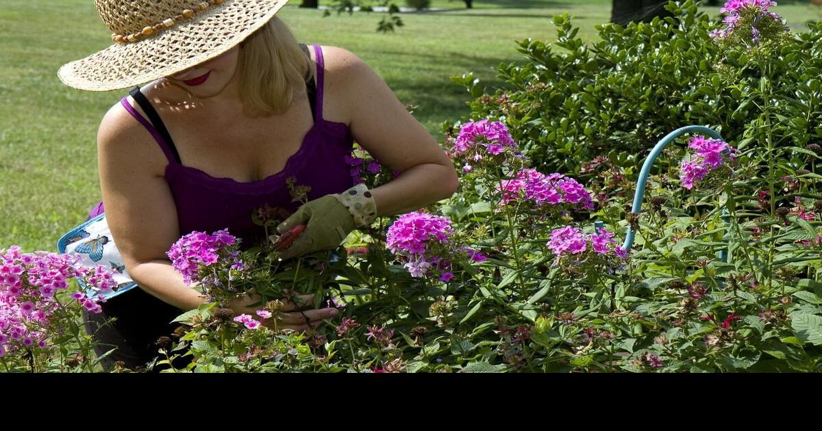 Here’s how to cool yourself down naturally in the summer heat