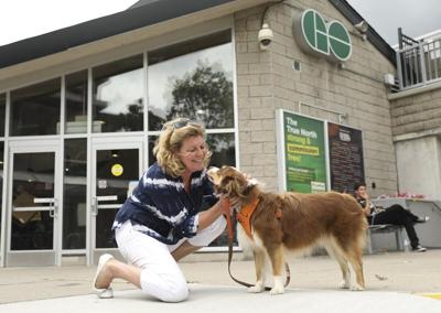 Are Pets Allowed on Go Train? - gmedia