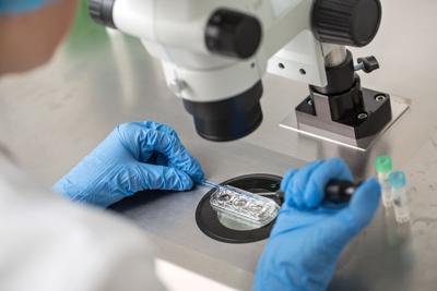 IVF.JPG