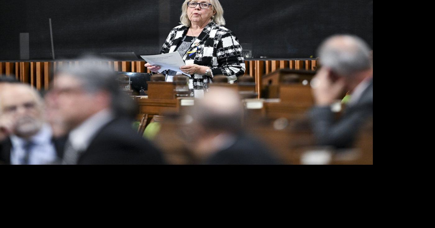 Elizabeth May says Greens can win byelection by campaigning on PM's climate record