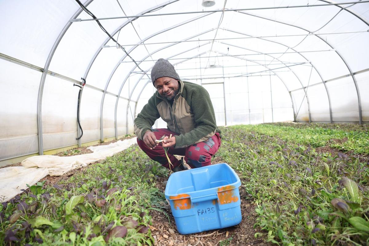 Toronto urban farmer seeks role in food insecurity solution