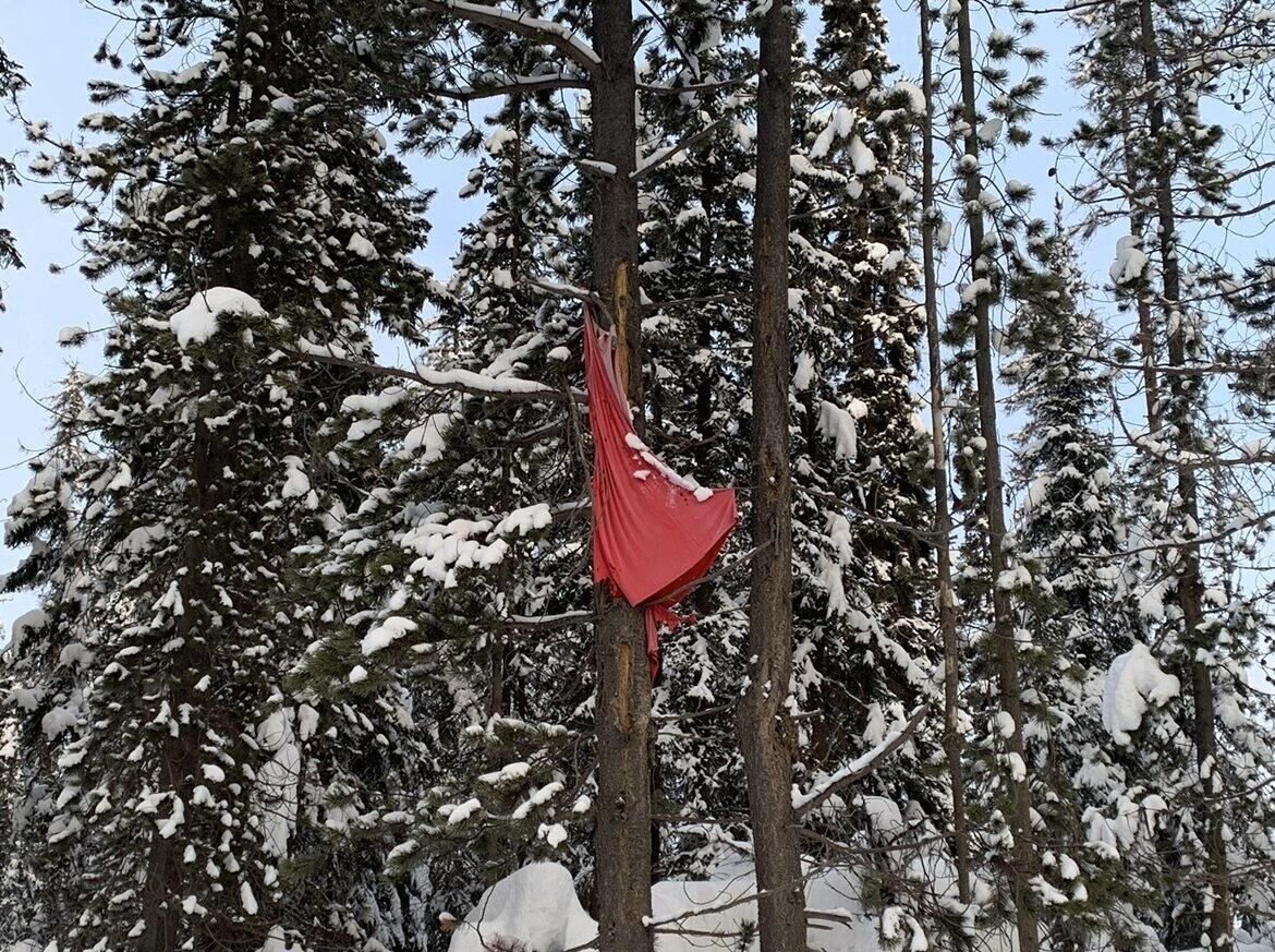 Red dress clearance hudson bay