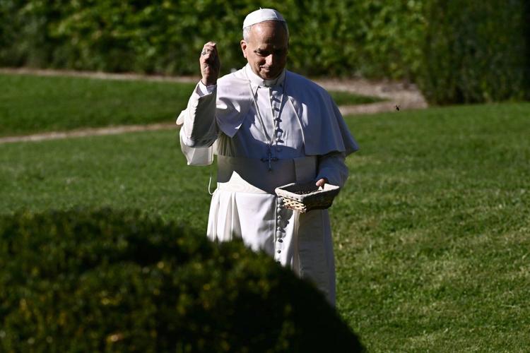 Pope feeds fish as he opens Vatican's ambitious model of sustainable farming and education