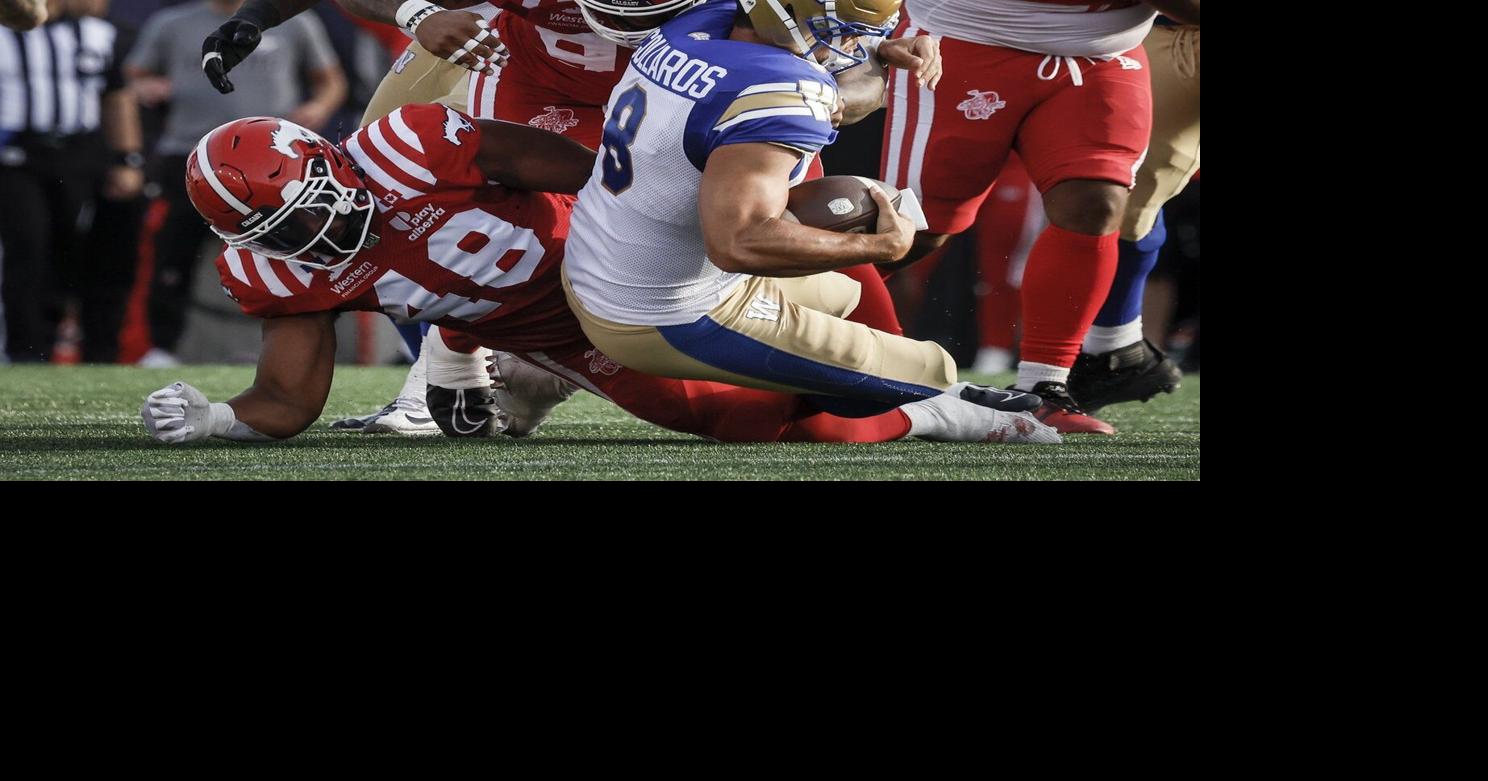 Former CFL linebacker Roberts has overcome a lot to finally get NFL opportunity