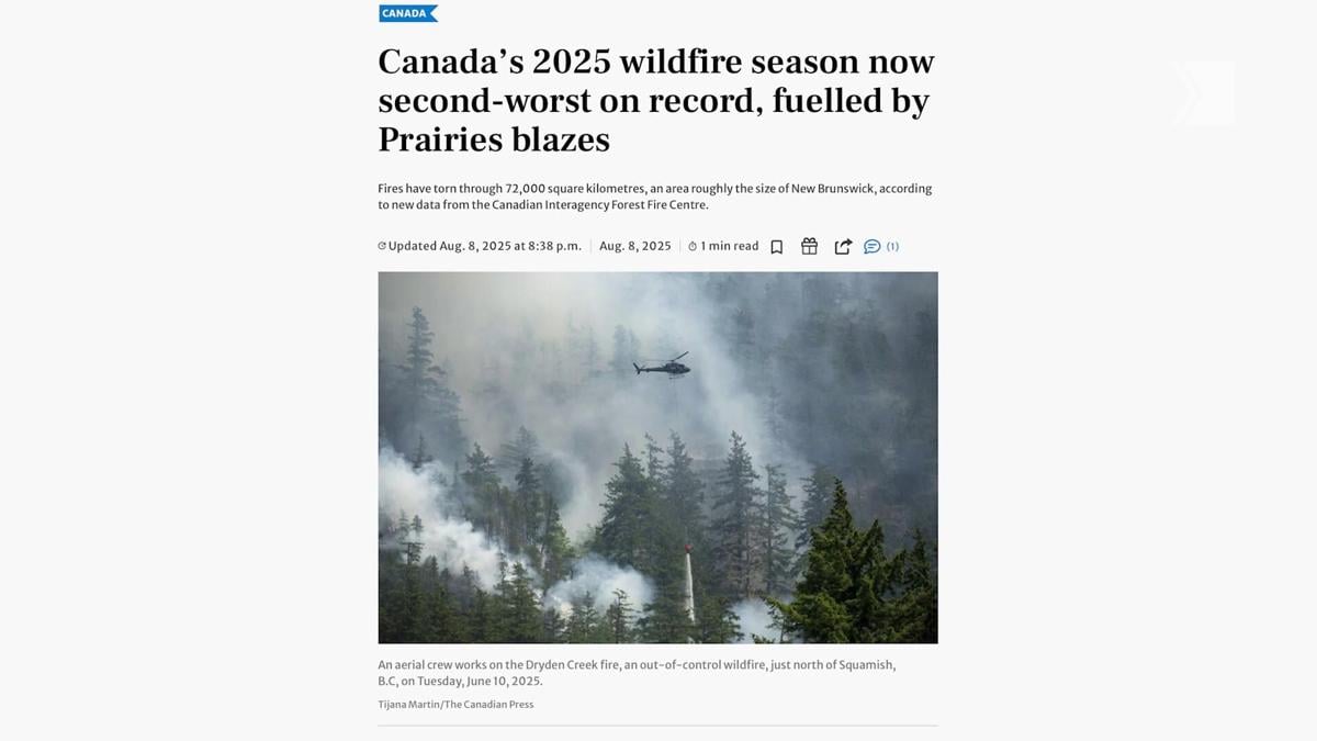 Kawartha Lakes crews fight forest fire burning 27 hectares