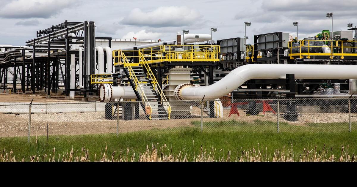 Canada a ‘banana republic’ over energy, Calgary money manager says