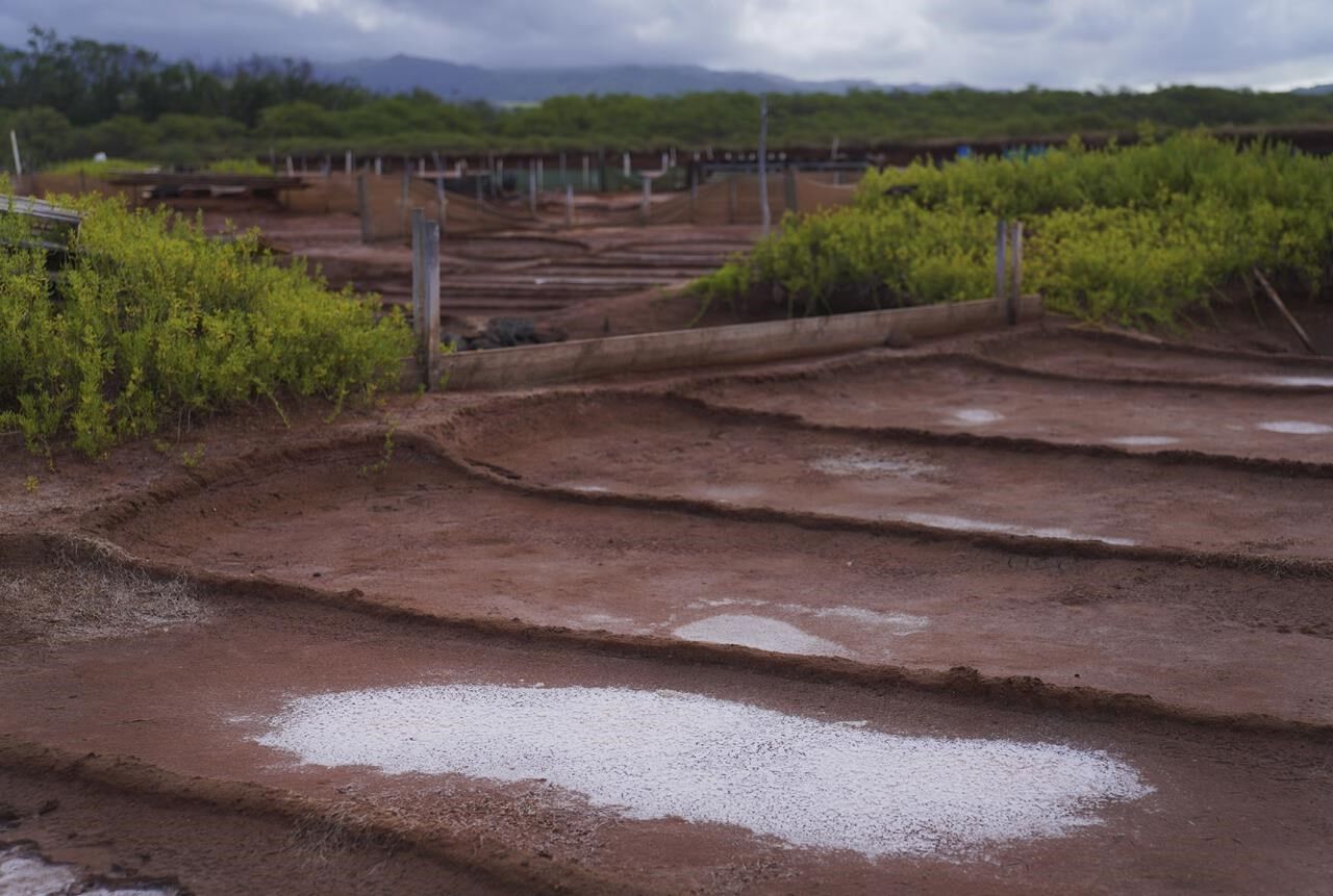Salt Patch How Native familes make salt at one of Hawaii's last remaining salt patches